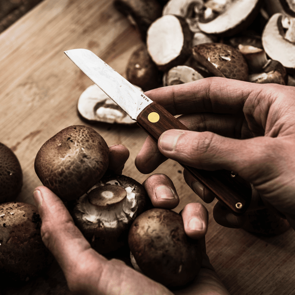 Let’s Talk About Kickstarter - WESN