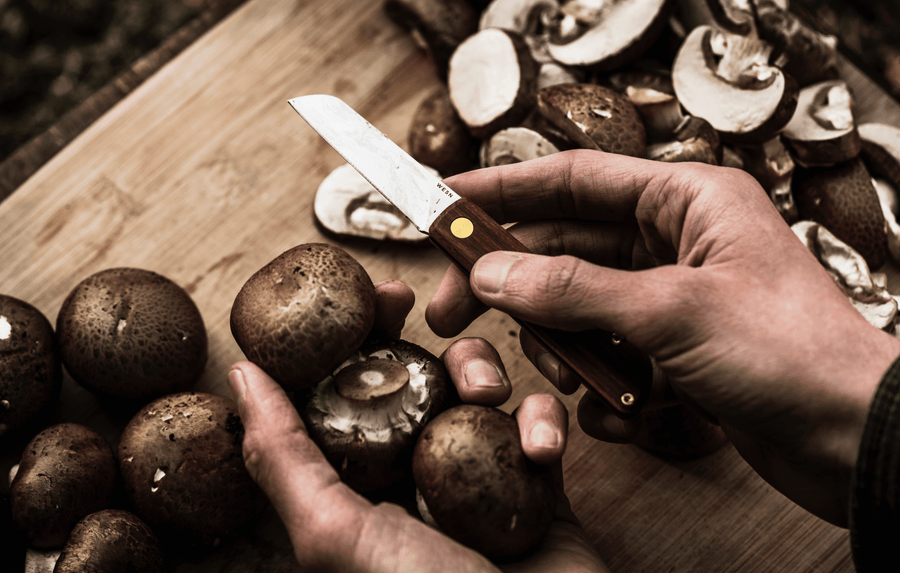 Let’s Talk About Kickstarter - WESN